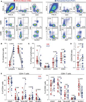 Comparison of the frequency and phenotypic profile of Mycobacterium tuberculosis-specific CD4 T cells between the site of disease and blood in pericardial tuberculosis